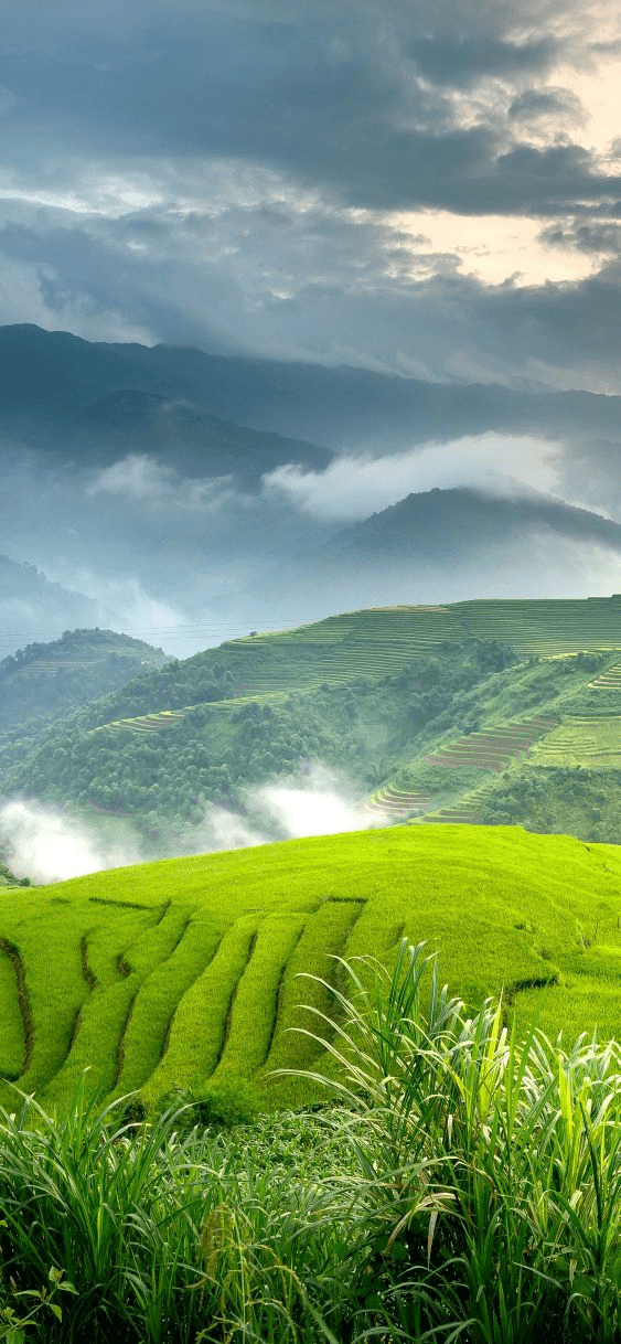 Alpine Valley landscape
